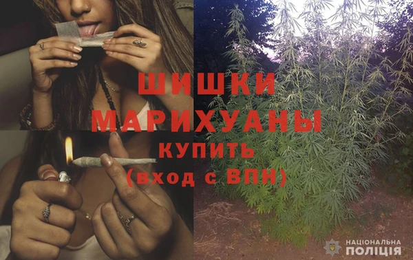 каннабис Майский