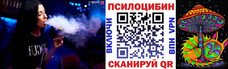 Псилоцибиновые грибы мицелий Отрадная